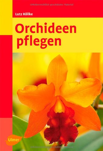 Download Orchideen pflegen Download Orchideen pflegen
