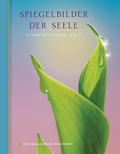 Spiegelbilder der Seele. Terminkalender 2017
