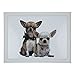 Produktbild Mars & More Knietablett mit 2 Chihuahuas 43x33x7 cm