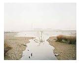 Image de Jurgen Nefzger: Fluffy Clouds