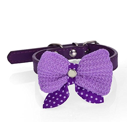 Preisvergleich Produktbild hippolo Leder Nieten Katzenhalsband mit Sicherheit Elastic Stretch violett XS