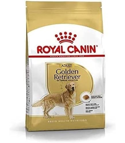 ドッグフード  CANIN Golden Retriever 12kg Royal Canin Bhn Golden Retriever Adult 12 Kg Breed Health