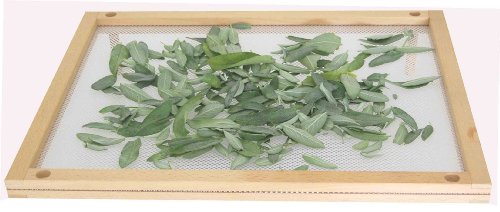 Trockene Pasta/Pilze cm.50 x 40 - 4