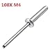 Produktbild Strollway Wohnkultur Blindnieten 25mm M4 Aluminium Open End Blindnieten Dome Kopf mit Break Pull Dorn 100Pcs (Farbe : 16mm)