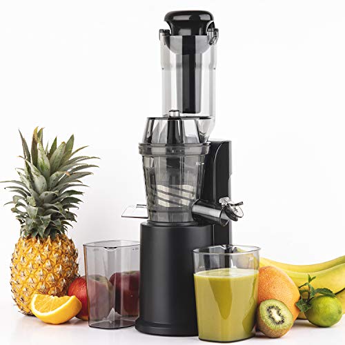H.Koenig GSX16 Extracteur de Jus de fruit et légumes vertical compact 0,8L Inox, Centrifugeuse Vitamin+ Sans BPA, Bec d'introduction Large, Pression douce Rotation Lente, Silencieux, Système reverse