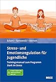 Stress- und Emotionsregulation für Jugendliche: Trainingsmanual zum Programm »Stark im Stress«. Mit E-Book inside und Arbeitsmaterial by 