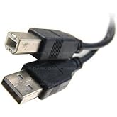 Dark DK-CB-USB2PRNL300 3 m USB 2.0 Kablosu