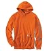 Produktbild Carhartt Midweight Signature Sleeve Logo Hooded Sweatshirt - Kapuzenpullover (M, orange)