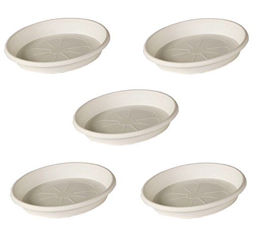 Home Garden Ornaments Coloured Plastic Plant Pot Saucer WHITE Heavy Duty Sizes:28 cm - 5 pack,