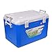 Produktbild Rong Tragbarer Kühlschrank - Mini-gefrierschrank, Kann Für Fahrzeuge/Zuhause/Outdoor/Picknick/Angeln/Grill/Küche, Kühlung/Isolierung, 30l Verwendet Werden