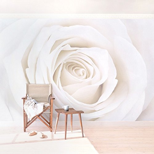 Vliestapete - Top Rosen Tapeten - 6 hochwertige Motive zur Auswahl - Fototapete Breit Vlies Tapete Wandtapete XXL Wandbild Foto 3D Fototapete Wohnzimmer Schlafzimmer Kinderzimmer, Größe HxB: 225cm x 336cm; Motiv: Pretty White Rose