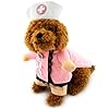 Pegasus-infermiere-Cane-Costume-con-cappello-cosplay-Dog-Coat-fiocco-pizzo-tutte-le-stagioni-rosa-per-piccolo-gatto-cane-cucciolo