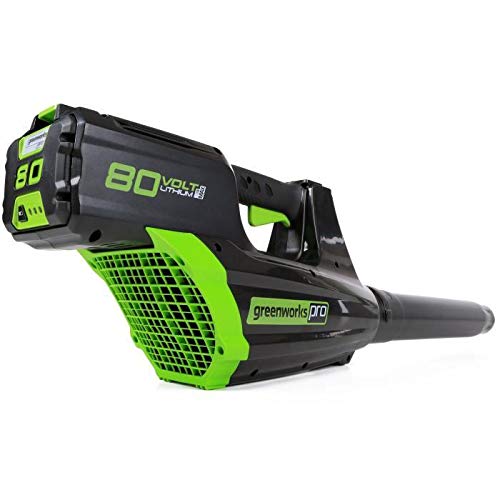 Preisvergleich Produktbild Greenworks GD80BL Laubbläser