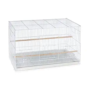 Prevue Pet Products Flight Cage, White