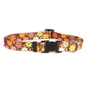Autumn Flowers Dog Collar - Size Cat 8