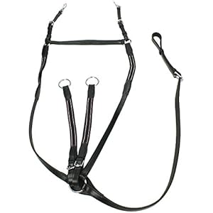 Epplejeck Vorderzeug Bristol - Schwarz - Gr. Pferd