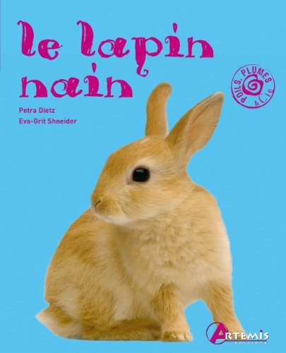Download Le lapin nain Download Le lapin nain