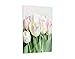 Produktbild Klebefieber Glasbild Tulpen mit Tautropfen B x H: 60cm x 80cm