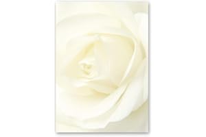 Papier à motif Fleurs & Pétales, Amour & Mariage ROSE BLANCHE 50 feuilles DIN A5 - Paper-Media
