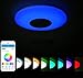 Produktbild RGB LED Deckenleuchte mit Bluetooth Lautsprecher Smart Home Lampe 24W 6500K 1800LM Dimmbar LED Smart Musik Deckenlampe, Deckenbeleuchtungt Warmweiss/Kaltweiss YDYG (Größe : 500mm)