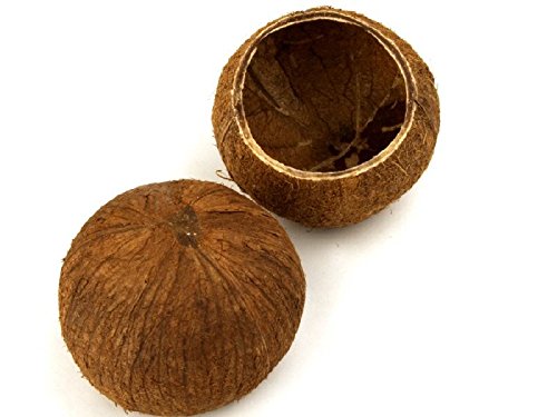 NaDeco® Kokos Becher | Kokosnuss Schale | Kokosbecher | echte Deko Kokosnuss | Kokosnussschalen | Deko Kokosnuss | Beach Party | Beach Club Deko - 2