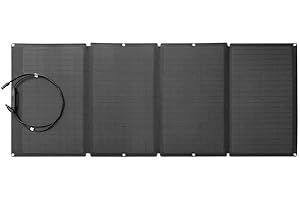 EF ECOFLOW ECOFLOW Pannello Solare Portatile 160W per Centrale Elettrica, Sistema di Ricarica Solare Pieghevole, Concatenabile, Cavalletto Regolabile, Impermeabilità IP67, per Uso all'Aperto, Campeggio