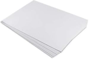 BLISTER 10FG CARTONCINO 70X100 220GR BIANCO 100 FABRIANO ELLE ERRE [46470100]