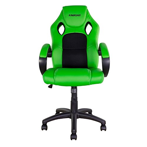 Preisvergleich Produktbild CHRRID10 - Bike It Rider Chair Kawasaki
