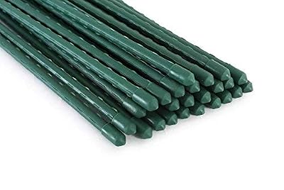 Tingyuan Jardin Piquets en Acier pour Plantes Piquets 24 inches Vert