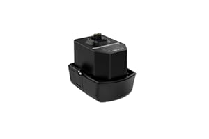 Asiwo Batterie de Scooter sous-Marin de capacité Standard