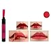 Tearing stained lip glosses liquid lipstick 5 colours (05#)