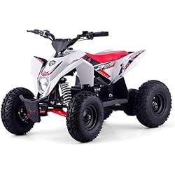 Miniquad Elettrico 1000W Electric Lem Motor Kondor Rosso