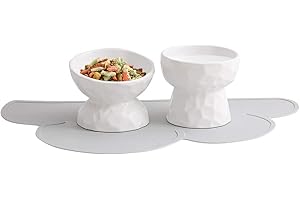 HCHLQLZ White Ceramic Cat Food and Water Bowl Set,Cat Food Dish with Stand,Elevated Cat Bowls,Raised Cat Food Bowls Anti Vomiting,Pet Bowl with Anti Slip Mat,Stress Free for Cats and Small Dogs