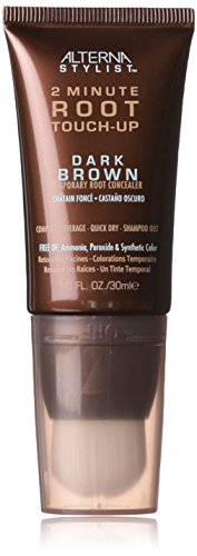 Alterna 2 Minute Touch Up Dark Brown 30ml