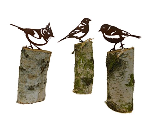 3er Set Vogel / Haubenmeise – Buchfink – Kohlmeise (Rostdeko) - 5