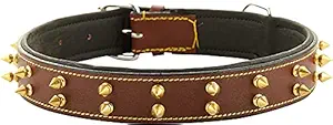 PSK PET MART DGenuine Brass Spiked Leather Dog Collar - 1.25Inch (ML) Dog Everyday Collar (Large, Brown)