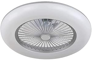 BEL AIR HOME - Ventilador Plafón Led KIRA 80W con Control Remoto y App, Luz Regulable de 3000K a 6000K, 5 Aspas Resistentes, Ideal para Dormitorios Medianos y Pequeños - (Plata)