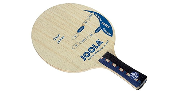 raquette de ping pong joola