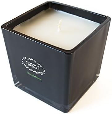 Italian Luxury Scented Candles By Momenti Di Firenze:Unique & Versatile Ornamental With Captivating Wild Fig Scent, Black Painted Glass Candle Holder & Paraffin Wax, Top Line Quality, Superior Finesse (Green)