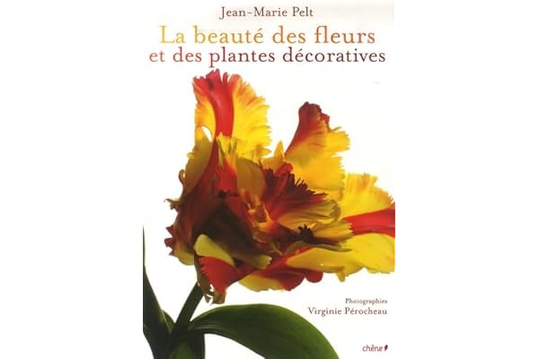 La beauté des fleurs et des plantes décoratives