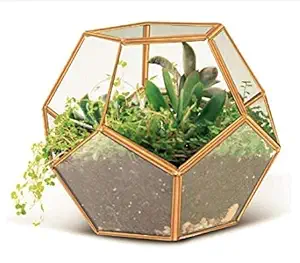 Urdhva Retail Big Octa Geometric Vase Terrarium (19.5 * 19.5 * 17.5 cm)