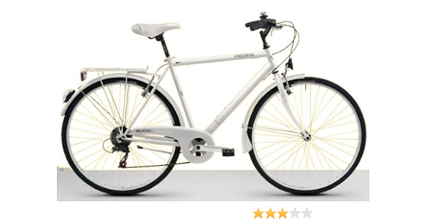 BICI REGINA CITY BIKE TREKKING 28\