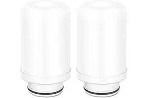 XNTONG - Wasserfilter Ersatzkartuschen, Keramikfilter Ersatz, ​Wasserhahn-Filtrationssystem, Aktivkohlefilter, (Keramische Filterpatrone x 2)