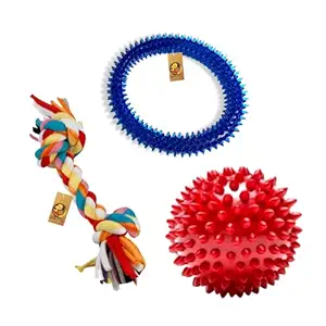 Foodie Puppies Dog Rubber Chew Toy Combo (Spike Dental Ball + Spike Ring + Chew Toy Rope) - Color May Vary