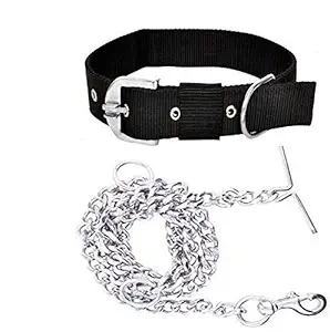 RvPaws Dog Belt Combo of 1 inch Nylon Collar with Heavy Dog Chain 63 Inch Lengthy Dog Collar Chain (Black)