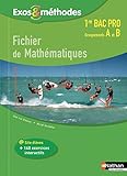 Fichier de Mathématiques 1re Bac pro Groupements A et B