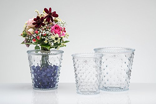 Glasvase Sandra’s Secret Garden klar zylindrisch 12 cm Ø 12 cm von Sandra Rich - 2