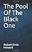 Produktbild The Pool Of The Black One