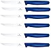 Produktbild Victorinox Steakmesser Spitz 6er Pack, Blau, 5.1232.6