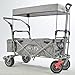 Produktbild IMLEX Bollerwagen mit Schiebe und Zieh Funktion IM-3004 Grau faltbar Handwagen Strandwagen mit Dach und Feststellbremse
